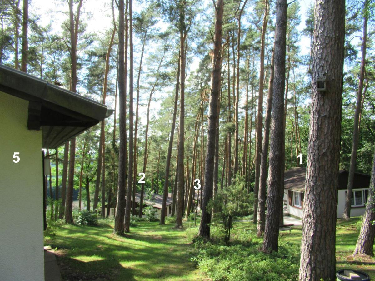 Feriendorf Mengshausen Niederaula Exterior foto