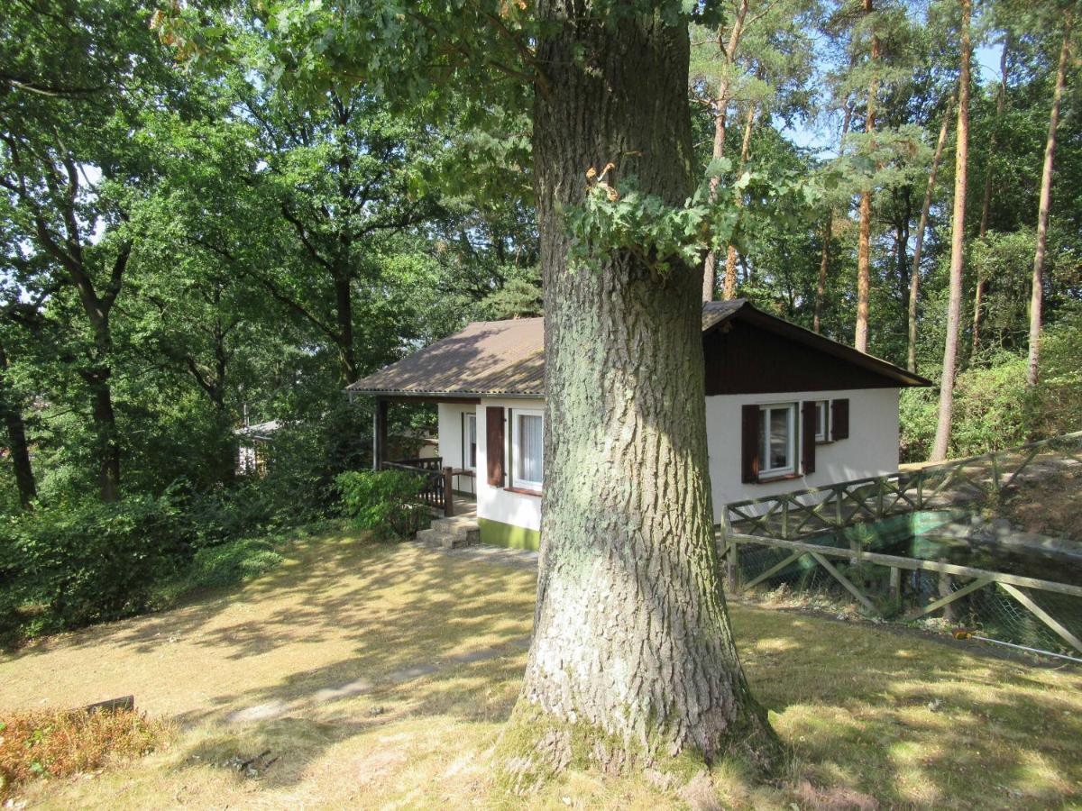 Feriendorf Mengshausen Niederaula Exterior foto
